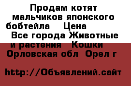 Продам котят мальчиков японского бобтейла. › Цена ­ 30 000 - Все города Животные и растения » Кошки   . Орловская обл.,Орел г.